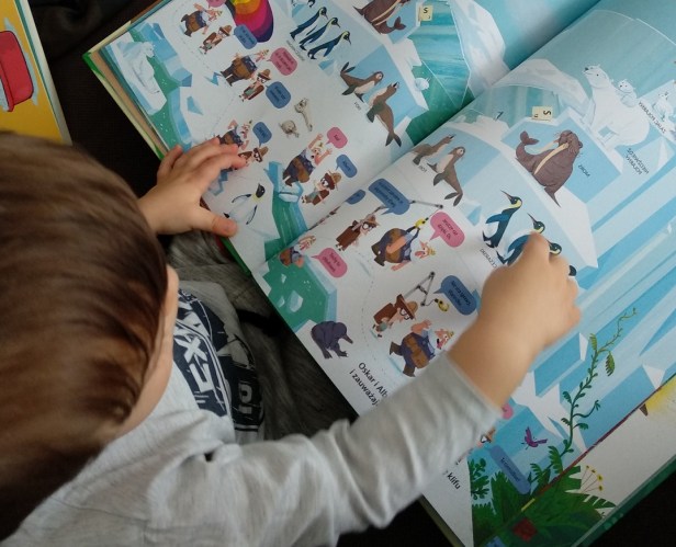 AbsolutnieDzikiWyscig2