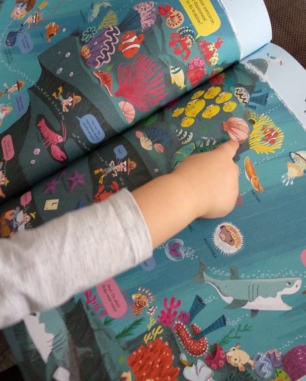 AbsolutnieDzikiWyscig4