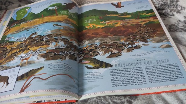 AtlasPrzygodZwierzat2