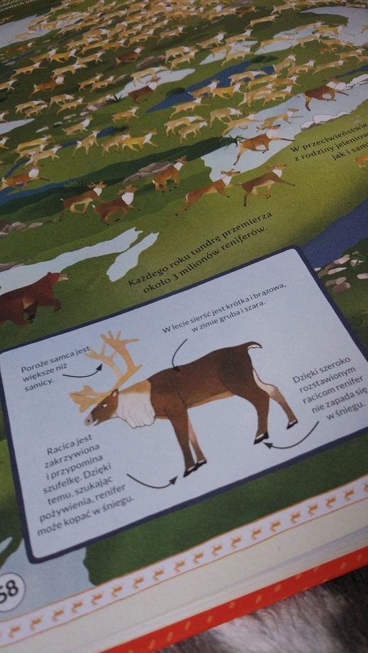 AtlasPrzygodZwierzat4