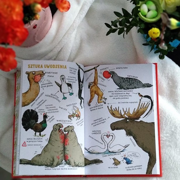 IntymneZycieZwierzat2