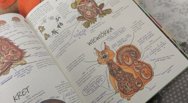 JakToDzialaZwierzeta2