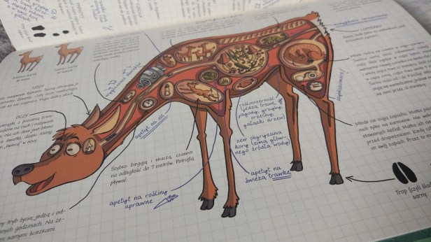 JakToDzialaZwierzeta3