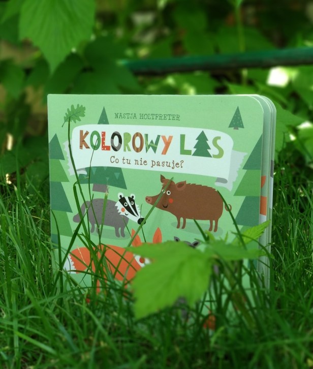 KolorowyLasIOcean4