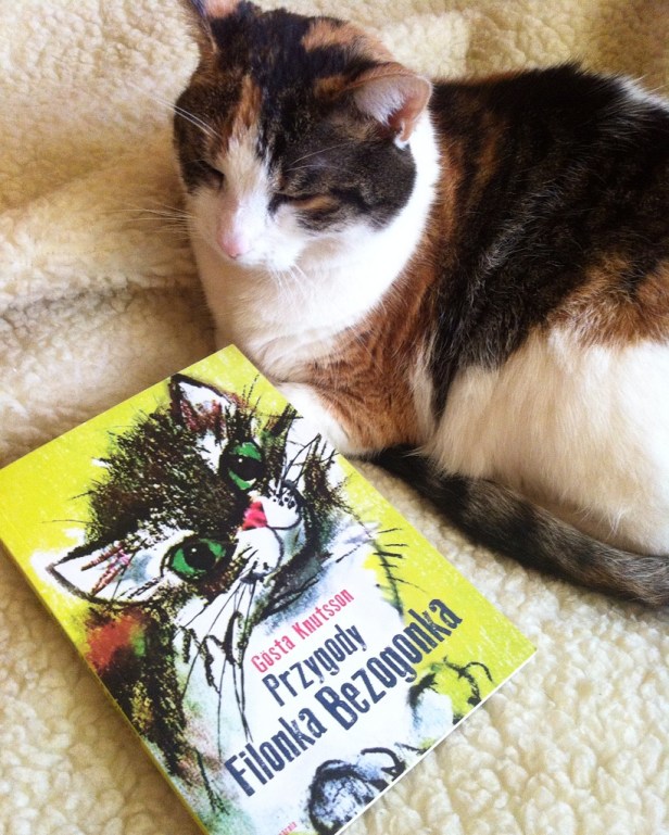PrzygodyFilonkaBezogonka